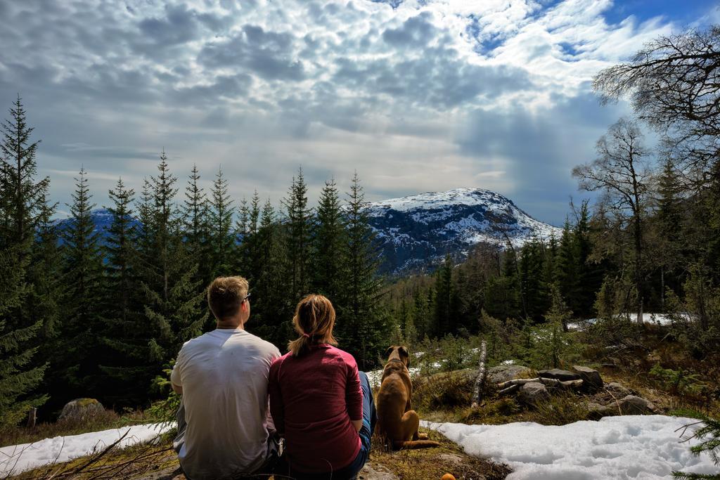 Jolstraholmen Camping Og Hytter Vassenden Bagian luar foto